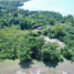  Land for sale in Busuanga, Mimaropa, Busuanga, Palawan, Mimaropa
