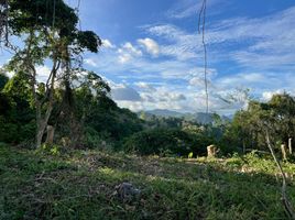  Land for sale in Central Visayas, Cebu City, Cebu, Central Visayas