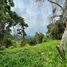  Land for sale in Central Visayas, Cebu City, Cebu, Central Visayas