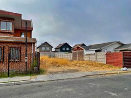  Land for sale in Chile, Curico, Curico, Maule, Chile