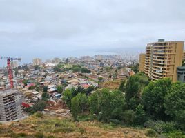 3 Habitación Apartamento en venta en Valparaíso, Valparaiso, Valparaíso, Valparaíso