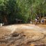  Land for sale in Tetela De Ocampo, Puebla, Tetela De Ocampo