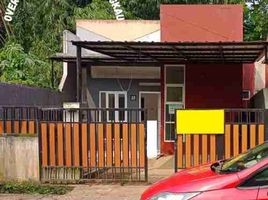 2 Kamar Rumah for rent in West Jawa, Ciampea, Bogor, West Jawa