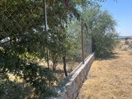  Grundstück zu verkaufen in Allende, Guanajuato, Allende