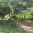  Land for sale in Santo Tomas, Batangas, Santo Tomas