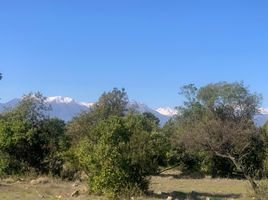  Terreno (Parcela) en venta en Maule, San Clemente, Talca, Maule