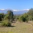  Terreno (Parcela) en venta en Maule, San Clemente, Talca, Maule