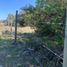  Terreno (Parcela) en venta en Maule, San Clemente, Talca, Maule