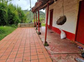 3 Schlafzimmer Villa zu verkaufen in El Santuario, Antioquia, El Santuario