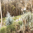  Land for sale in Guano, Chimborazo, Guano, Guano