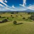  Land for sale in Chile, Puerto Montt, Llanquihue, Los Lagos, Chile