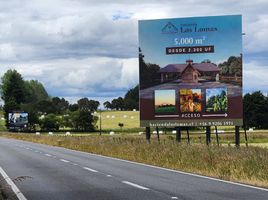  Land for sale in Chile, Puerto Montt, Llanquihue, Los Lagos, Chile