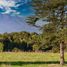  Land for sale in Chile, Puerto Montt, Llanquihue, Los Lagos, Chile