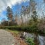 Land for sale in Chile, Mariquina, Valdivia, Los Rios, Chile