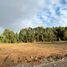  Land for sale in Chile, Mariquina, Valdivia, Los Rios, Chile