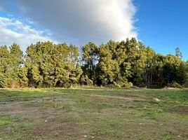  Land for sale in Chile, Mariquina, Valdivia, Los Rios, Chile
