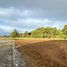  Land for sale in Chile, Mariquina, Valdivia, Los Rios, Chile