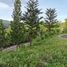  Terreno (Parcela) en venta en Cebu City, Central Visayas, Cebu City, Cebu, Central Visayas, Filipinas