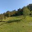 10 Bedroom House for sale in Chile, Quemchi, Chiloe, Los Lagos, Chile