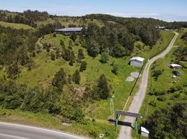 10 Bedroom House for sale in Chile, Quemchi, Chiloe, Los Lagos, Chile