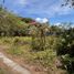  Land for sale in Los Baños, Laguna, Los Baños