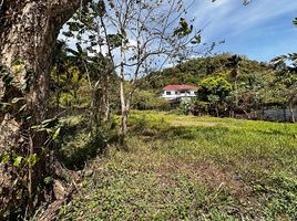  Land for sale in Los Baños, Laguna, Los Baños