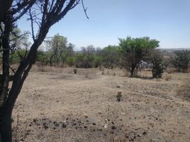  Grundstück zu verkaufen in Tepotzotlan, Mexico, Tepotzotlan