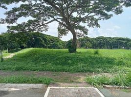  Land for sale in Calamba City, Calabarzon, Calamba City