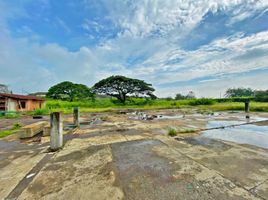  Terreno (Parcela) en venta en Palmira, Valle Del Cauca, Palmira