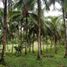  Land for sale in Bislig City, Caraga, Bislig City, Surigao del Sur
