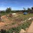  Land for sale in Bokod, Cordillera, Bokod