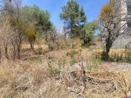  Grundstück zu verkaufen in Ixtacuixtla De Mariano Matamoros, Tlaxcala, Ixtacuixtla De Mariano Matamoros