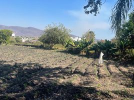  Grundstück zu verkaufen in Temixco, Morelos, Temixco, Morelos