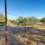  Land for sale in La Colorada, Sonora, La Colorada