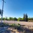  Land for sale in La Colorada, Sonora, La Colorada