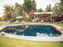 2 Schlafzimmer Haus zu verkaufen in Pisco, Ica, Paracas, Pisco