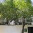 3 Habitación Apartamento en venta en Miguel Hidalgo, Ciudad de México, Miguel Hidalgo