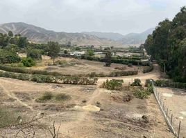  Land for sale in Pachacamac, Lima, Pachacamac