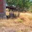  Land for rent in Erongaricuaro, Michoacan, Erongaricuaro, Michoacan