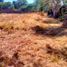  Land for rent in Erongaricuaro, Michoacan, Erongaricuaro