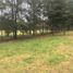  Land for sale in Araucania, Villarrica, Cautin, Araucania