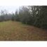  Land for sale in Araucania, Villarrica, Cautin, Araucania