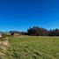  Land for sale in Araucania, Villarrica, Cautin, Araucania