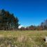  Land for sale in Araucania, Villarrica, Cautin, Araucania
