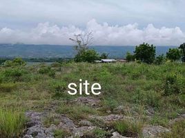  Land for sale in Badian, Cebu, Badian