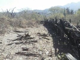  Terreno (Parcela) en venta en Morropón, Piura, Chulucanas, Morropón