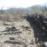  Land for sale in Chulucanas, Piura, Chulucanas, Morropon