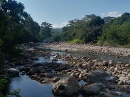  Terreno (Parcela) en venta en San Martín, San Antonio, San Martín, San Martín