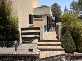 알바로 오레곤, 멕시코 시티PropertyTypeNameBedroom, 알바로 오레곤