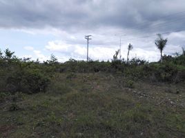  Land for sale in Bohol, Central Visayas, Panglao, Bohol